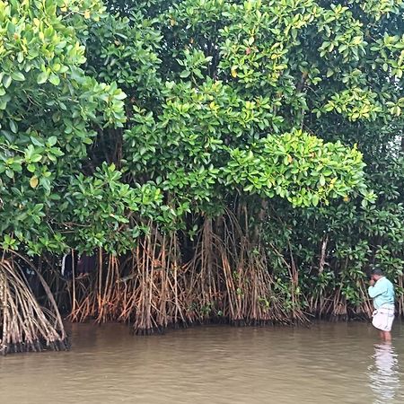 Dilkush Munroe Homestay Kollam Ngoại thất bức ảnh