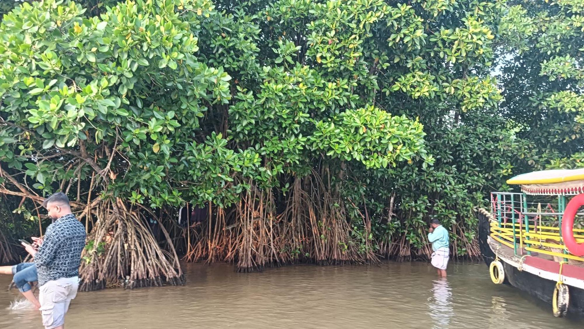Dilkush Munroe Homestay Kollam Ngoại thất bức ảnh